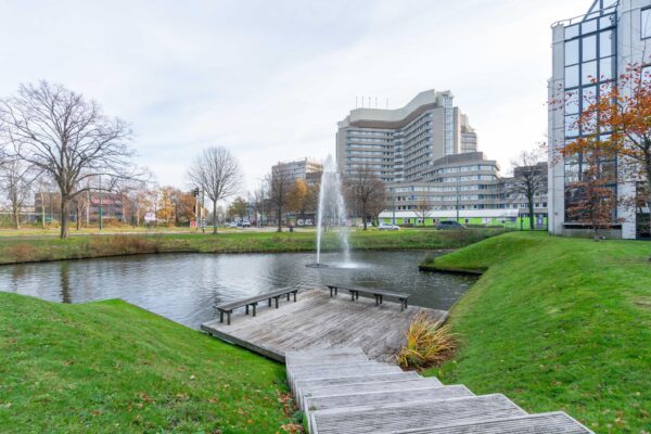 Stadszicht op De Bruyn Kopsstraat met een vijver, fontein en houten steiger op de voorgrond.